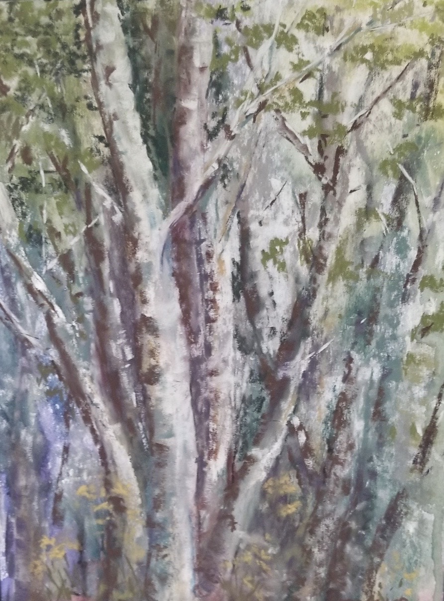Birches by Jessica Disbrow Birches by Jessica Disbrow