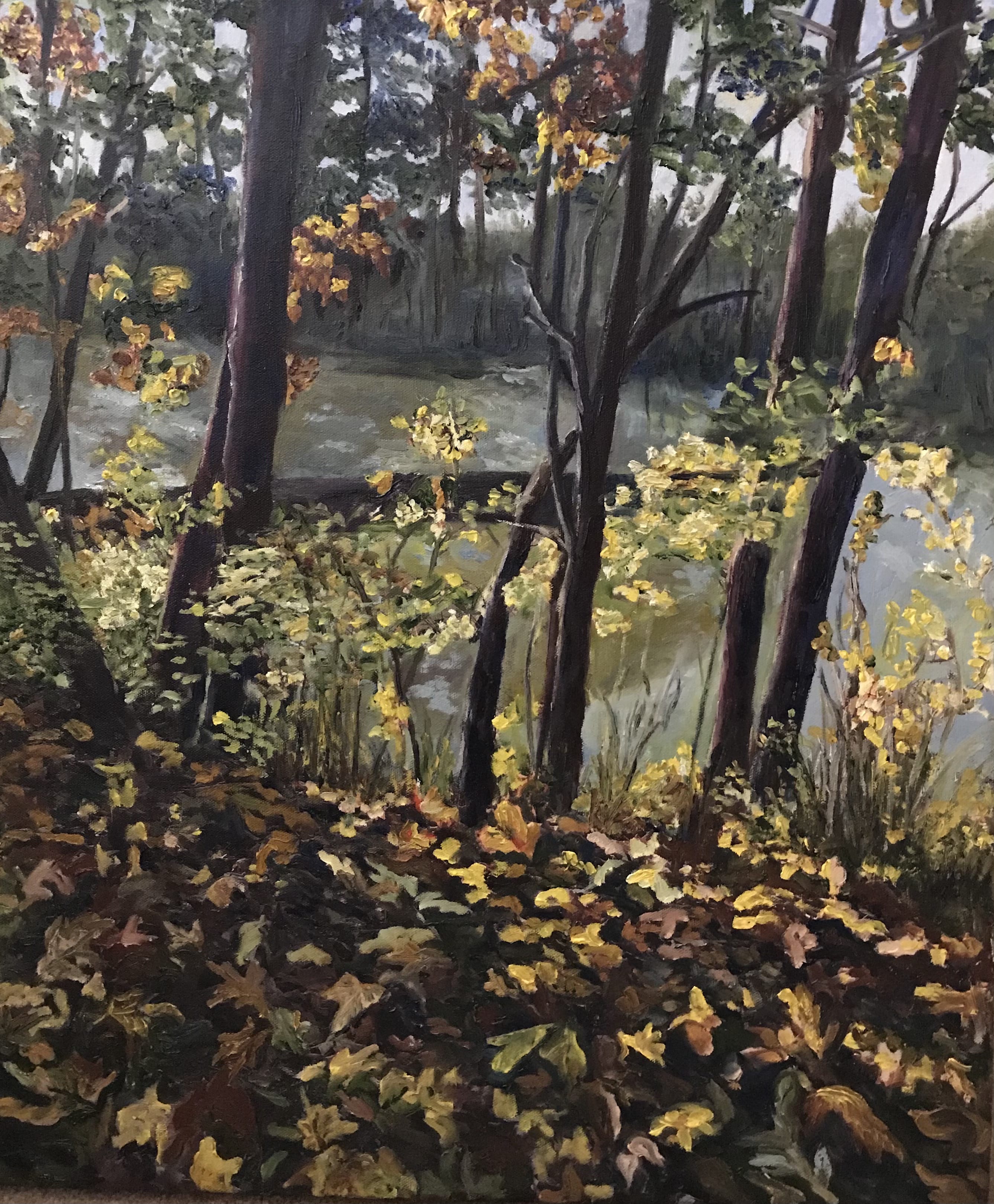 Fall Leaves by Barbara DoveFall Leaves by Barbara Dove