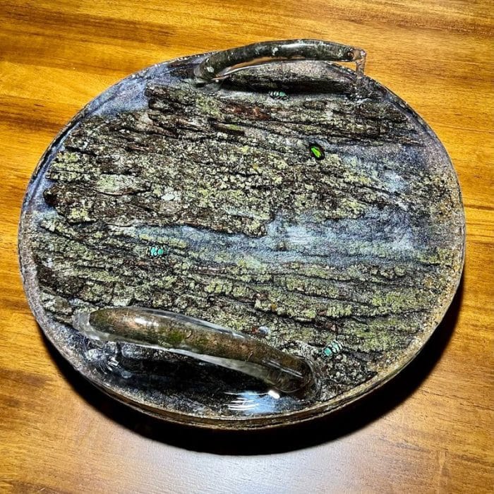 “Frozen in Time Tree Tray” by Paul Jacobs