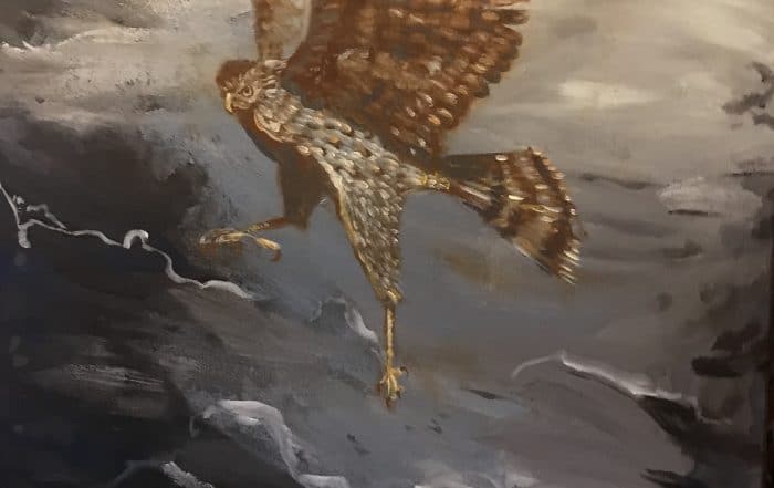 Migration Series - Cooper's Hawk by Annette Russo