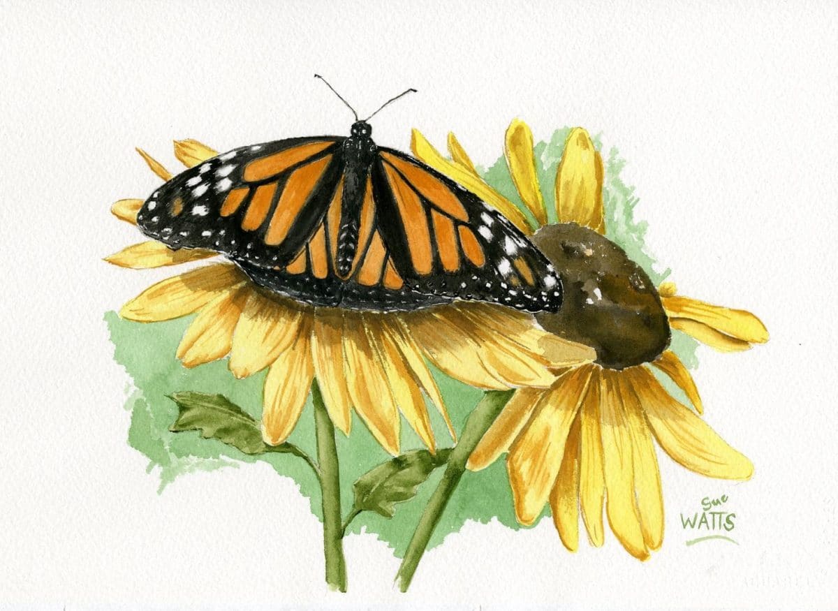 It’s My Life by Sue Watts Gallery 510 Art & Framing