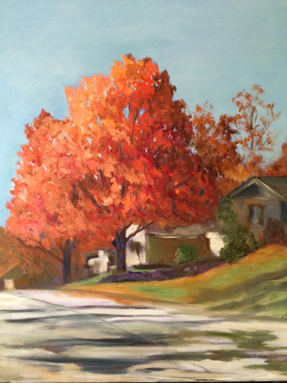 Shoreline Maple by Barbara Dove Shoreline Maple by Barbara Dove