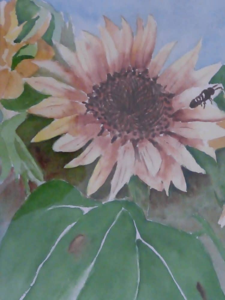Sunflower II by Shirley Buescher