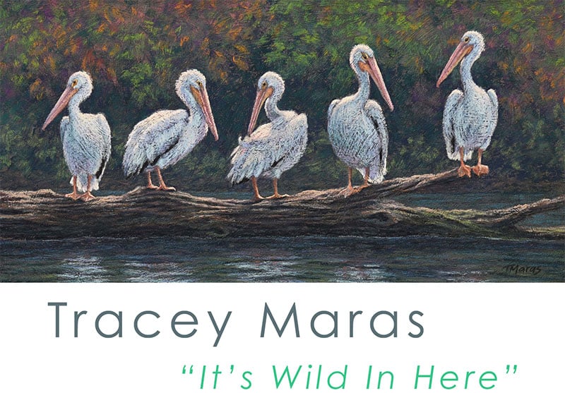 Tracey Maras "It's Wild In Here"