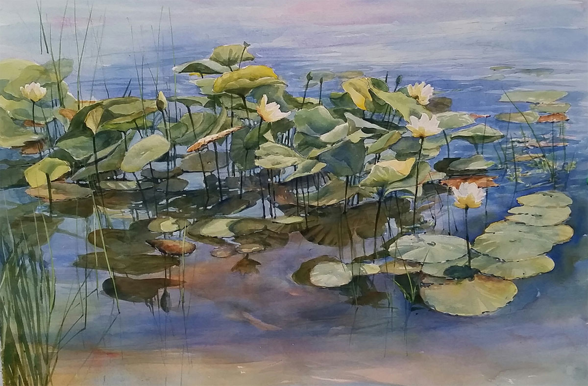 Water Lotus II by Sharon Zimmerman