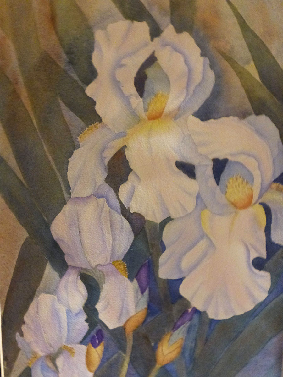 White Iris by Shirley Buescher