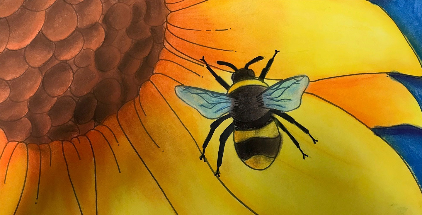 Young Artists’ Showcase Gallery 510 Art & Framing