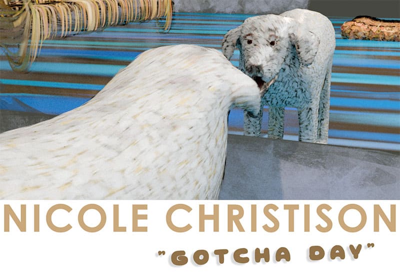 Nicole Christison "Gotcha Day"